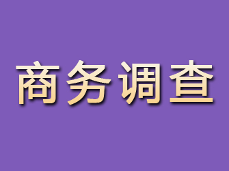 盘山商务调查